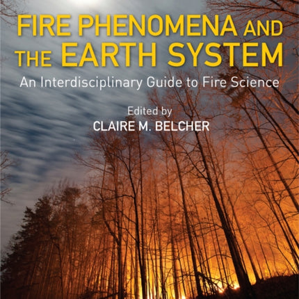 Fire Phenomena and the Earth System