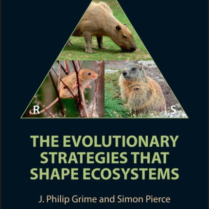 The Evolutionary Strategies that Shape Ecosystems