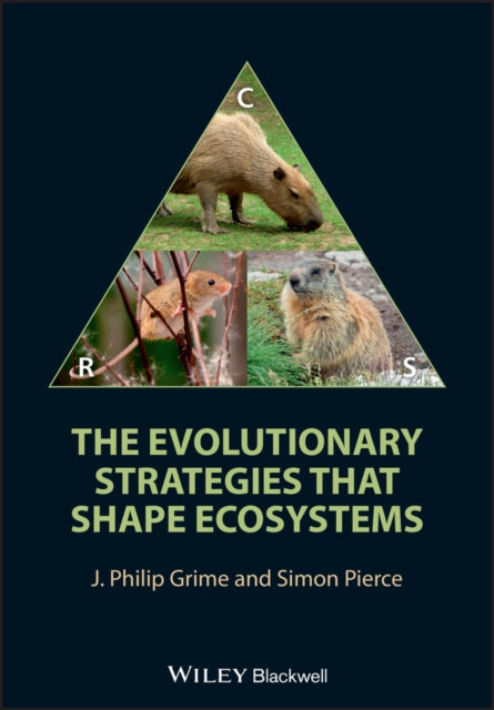 The Evolutionary Strategies that Shape Ecosystems