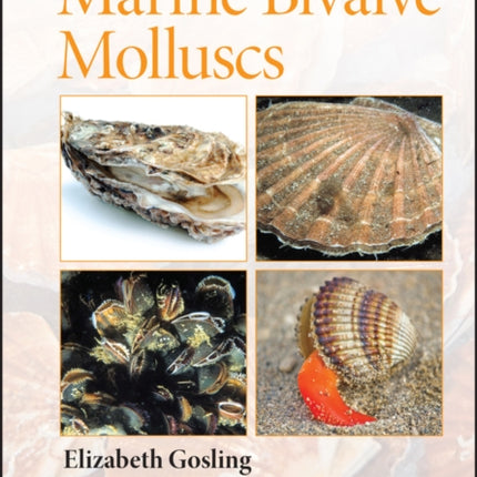 Marine Bivalve Molluscs