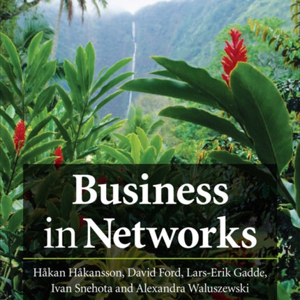 Business in Networks