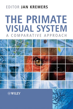 The Primate Visual System A Comparative Approach