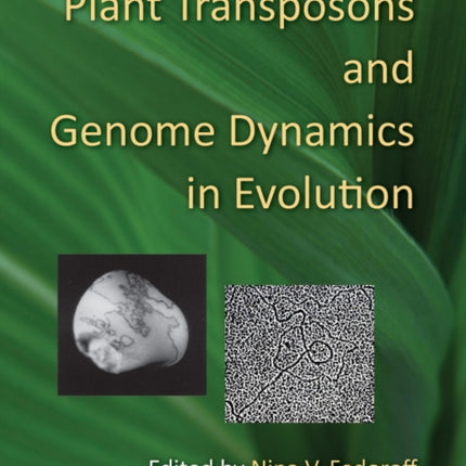 Plant Transposons and Genome Dynamics in Evolution