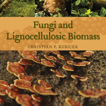 Fungi and Lignocellulosic Biomass