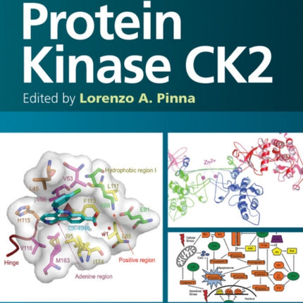 Protein Kinase CK2