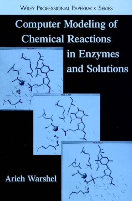 Computer Modeling of Chemical Reactions in