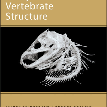 Analysis of Vertebrate Structure