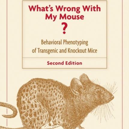 Whats Wrong With My Mouse