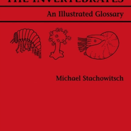 The Invertebrates