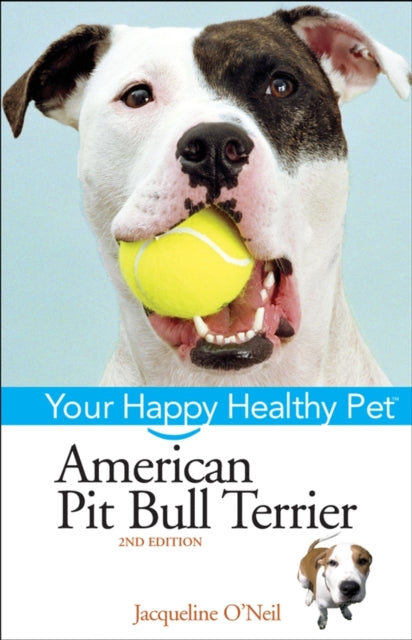 American Pit Bull Terrier