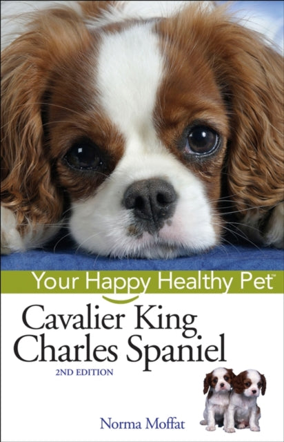 Cavalier King Charles Spaniel