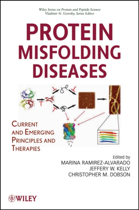 Protein Misfolding Diseases: Current and Emerging Principles and Therapies