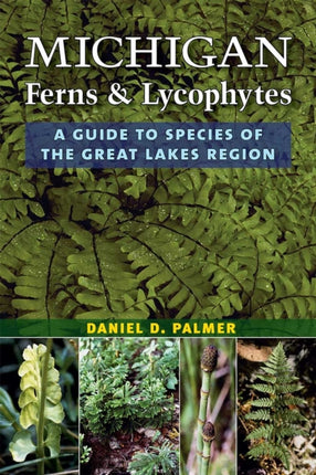 Michigan Ferns and Lycophytes  A Guide to Species of the Great Lakes Region