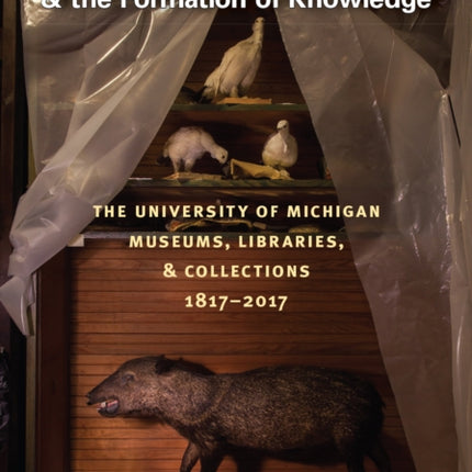 Object Lessons and the Formation of Knowledge