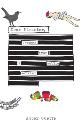 Dear Minister Letters from a Public Servant