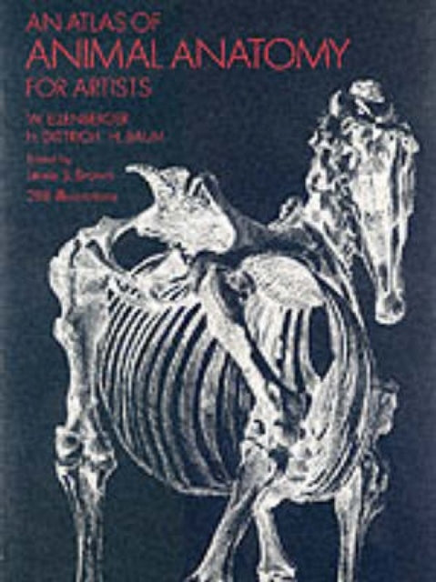 An Atlas of Animal Anatomy for Artists