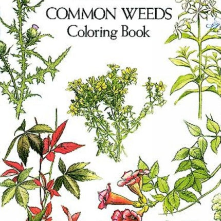 Common Weeds Coloring Book