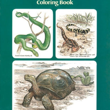 Reptiles and Amphibians Coloring Book Dover Nature Coloring Book