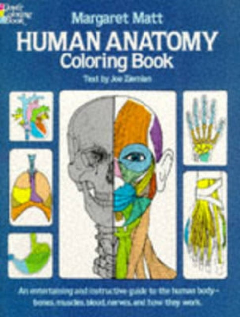 Human Anatomy