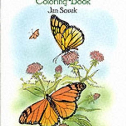 Butterflies Coloring Book