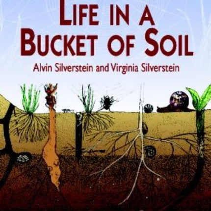 Life in a Bucket of Soil