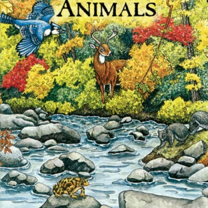 Forest Animals Colouring Book Dover Nature