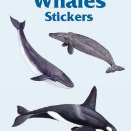 Realistic Whales Stickers Dover Little Activity Books Stickers