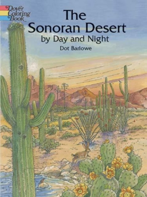 Sonoran Desert by Day and Night