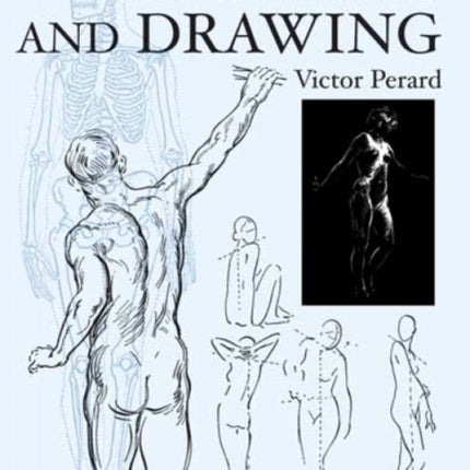 Anatomy and Drawing