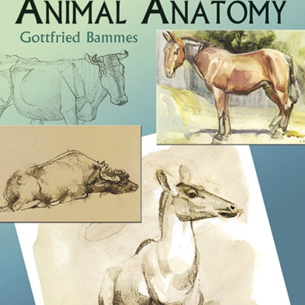 The Artists Guide to Animal Anatomy Dover Anatomy for Artists