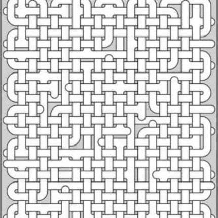 The Ultimate Maze Book