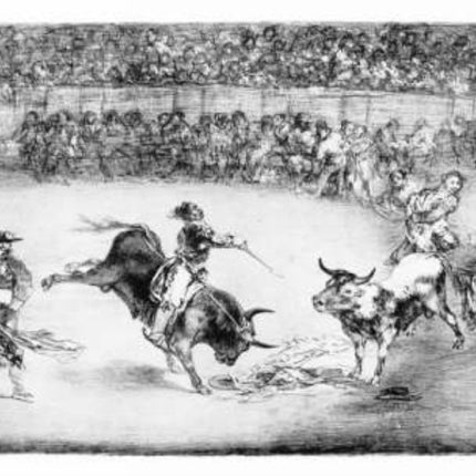 Great Goya Etchings: The Proverbs, the Tauromaquia and the Bulls of Bordeaux