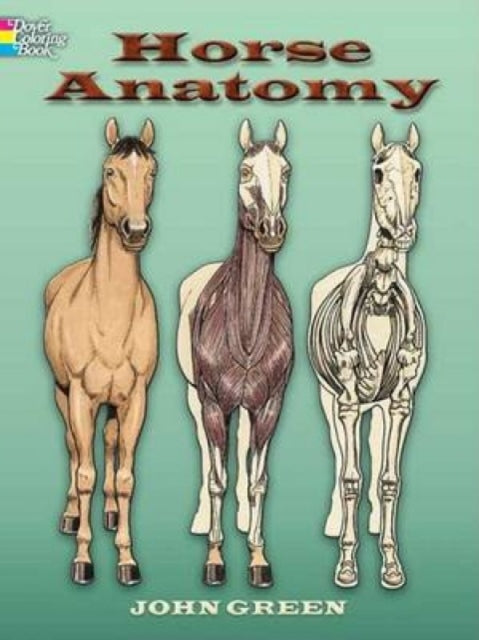 Horse Anatomy Coloring Book