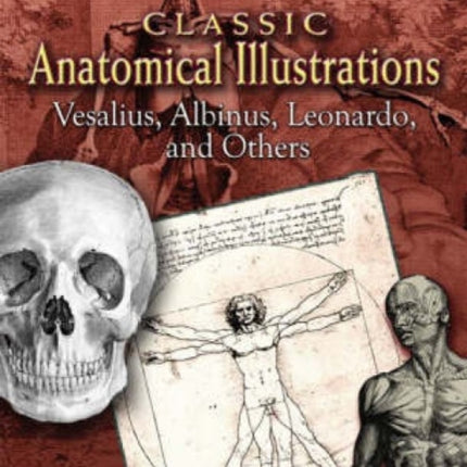 Classic Anatomical Illustrations