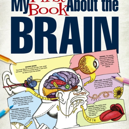 My First Book About the Brain