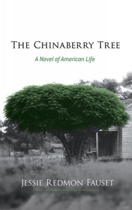 The Chinaberry Tree A Novel of American Life