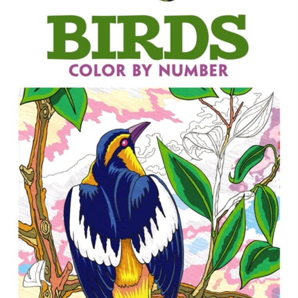 Creative Haven Birds Color by Number Coloring Book