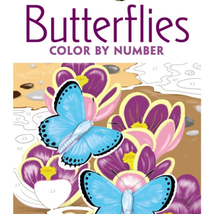 Creative Haven Butterflies Color by Number Coloring Book