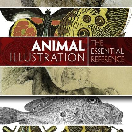 Animal Illustration: the Essential Reference