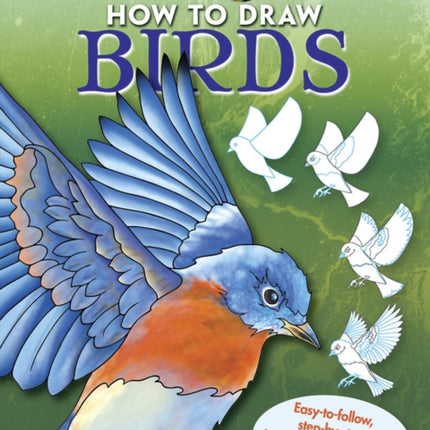 Creative Haven How to Draw Birds: Easy-To-Follow, Step-by-Step Instructions for Drawing 15 Different Species