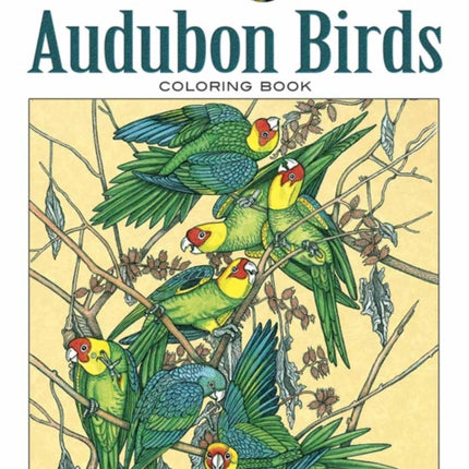 Wynne P Creative Haven Audubon Birds Coloring