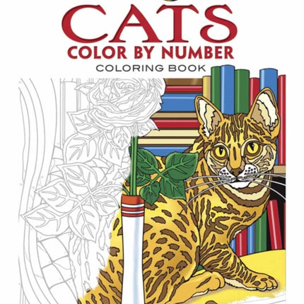 Creative Haven Cats Color by Number Coloring Book