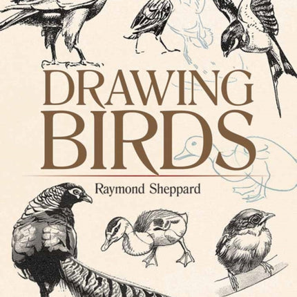 Drawing Birds