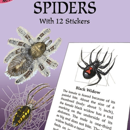 Learning About Spiders: With 12 Stickers