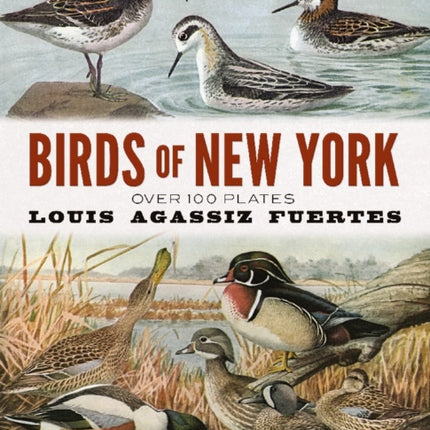 Birds of New York: Over 100 Plates