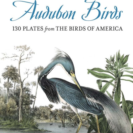 Treasury of Audubon Birds: 130 Plates from the Birds of America