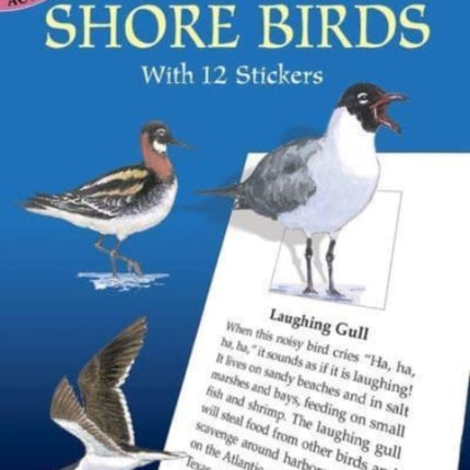 Learning About Shorebirds