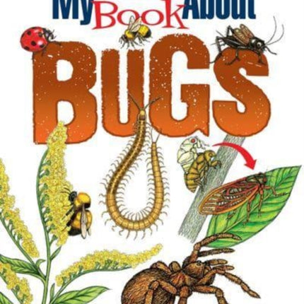 My First Book About Bugs