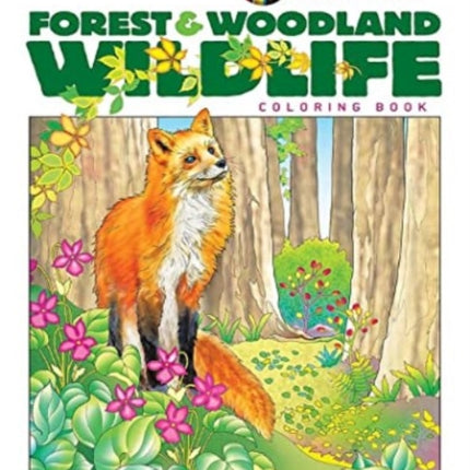 Creative Haven Forest  Woodland Wildlife Coloring Book