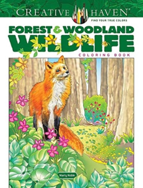 Creative Haven Forest  Woodland Wildlife Coloring Book